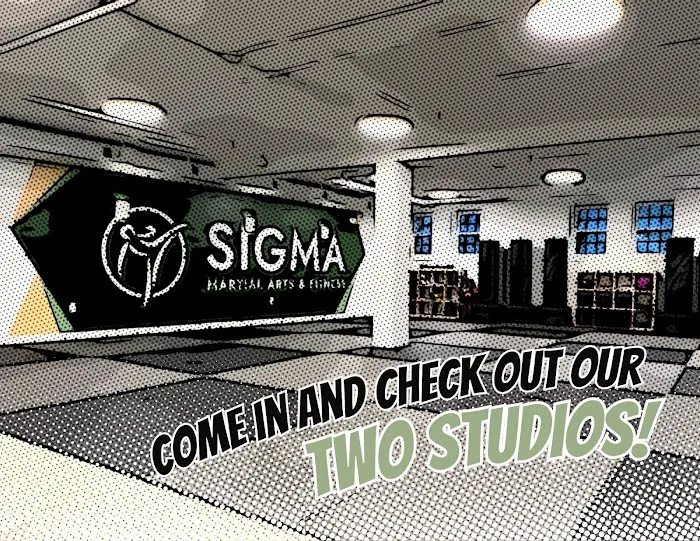 Sigma Martial Arts & Fitness Picture 2