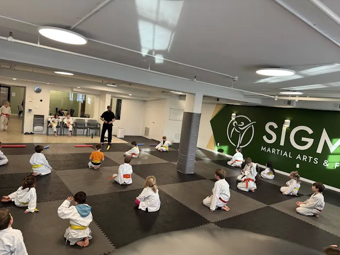 Sigma Martial Arts & Fitness Picture 3