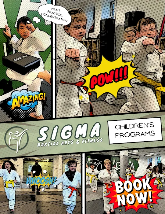 Sigma Martial Arts & Fitness Picture 10