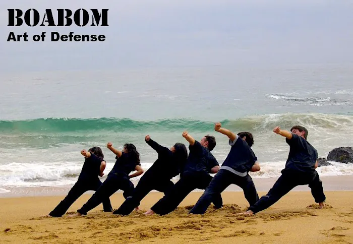 The Boston School of Boabom Picture 2