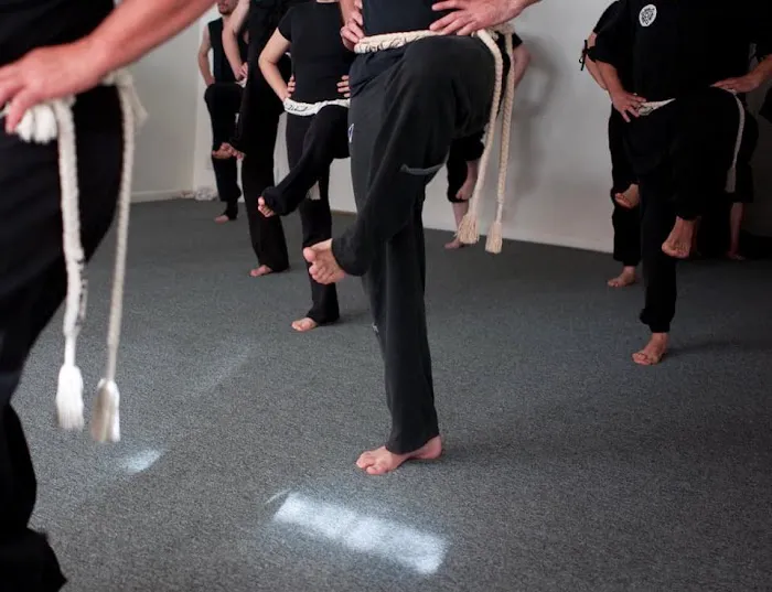 The Boston School of Boabom Picture 9