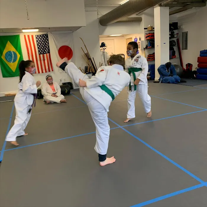 JP Martial Arts Academy Picture 2