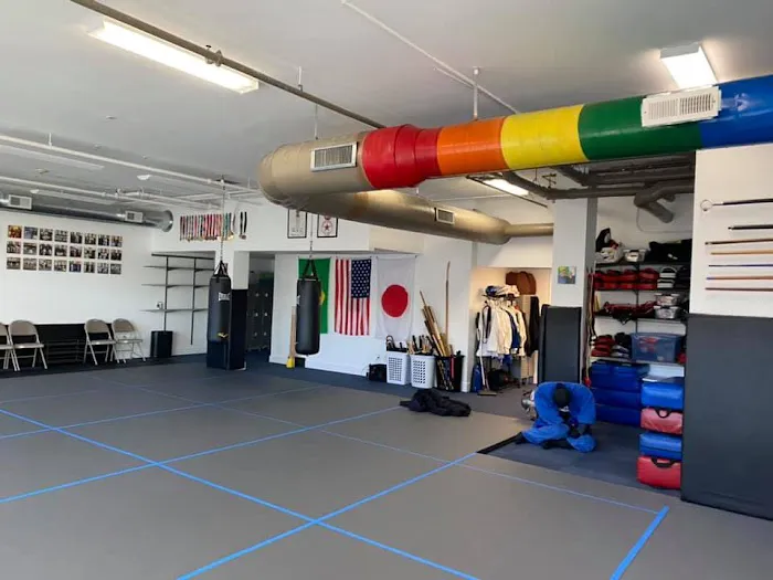 JP Martial Arts Academy Picture 3