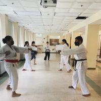 Boston Seirenkai Academy ico