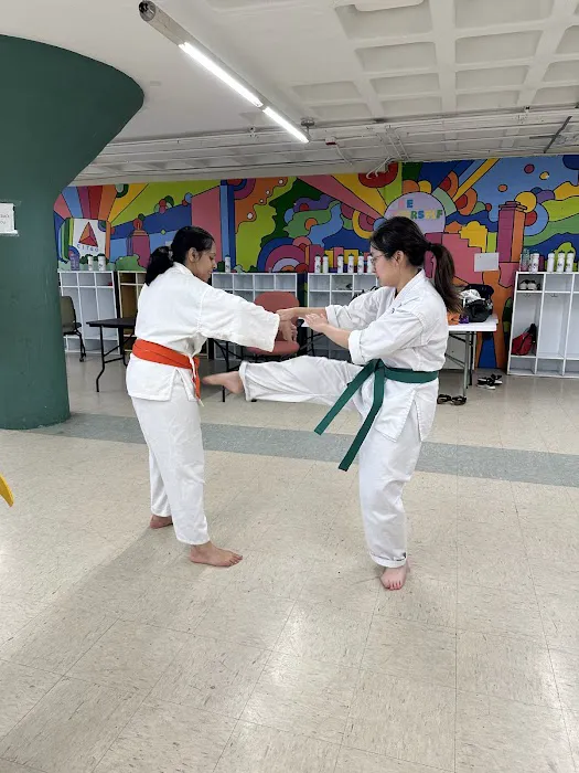Boston Seirenkai Academy Picture 5