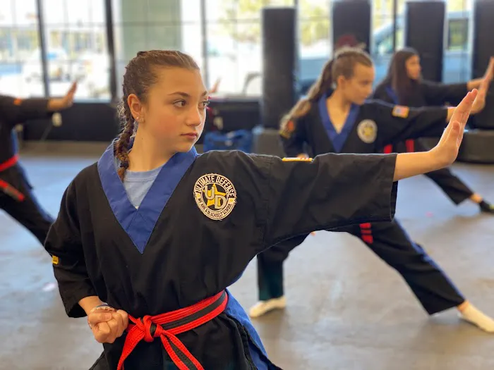 Ultimate Defense Picture 9