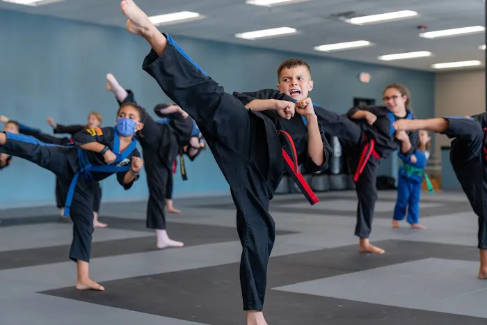 Ultimate Defense Picture 7