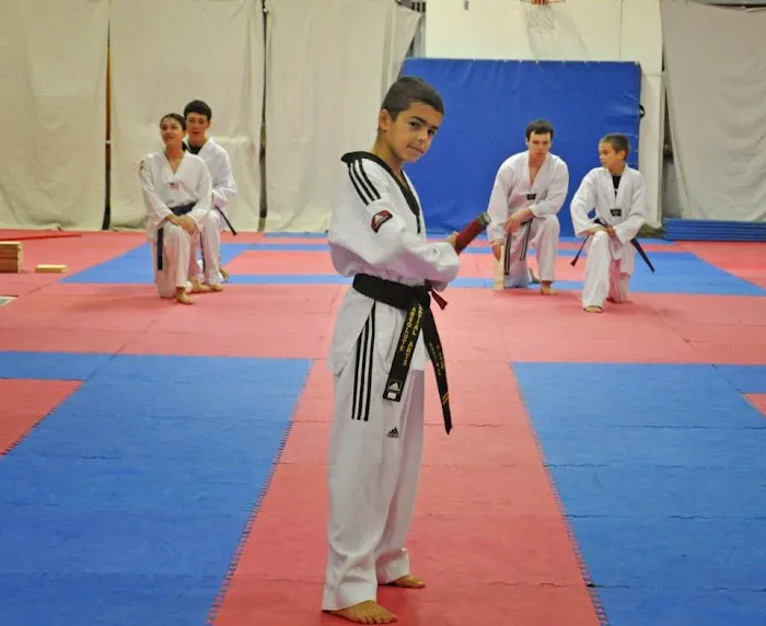 Absolute Martial Arts Picture 2