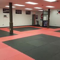 Absolute Martial Arts ico