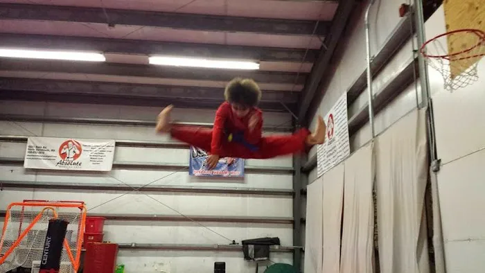 Absolute Martial Arts Picture 5