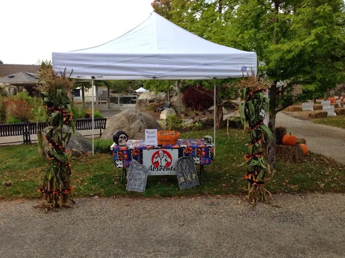 Absolute Martial Arts Picture 4