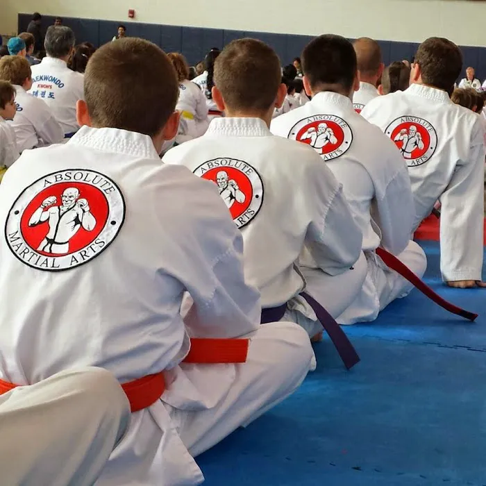 Absolute Martial Arts Picture 10