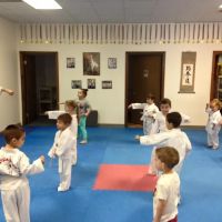 Gonsalves Tae Kwon Do School ico