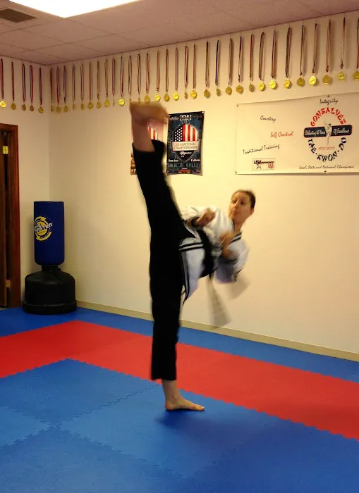 Gonsalves Tae Kwon Do School Picture 8
