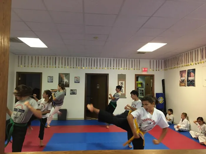 Gonsalves Tae Kwon Do School Picture 7