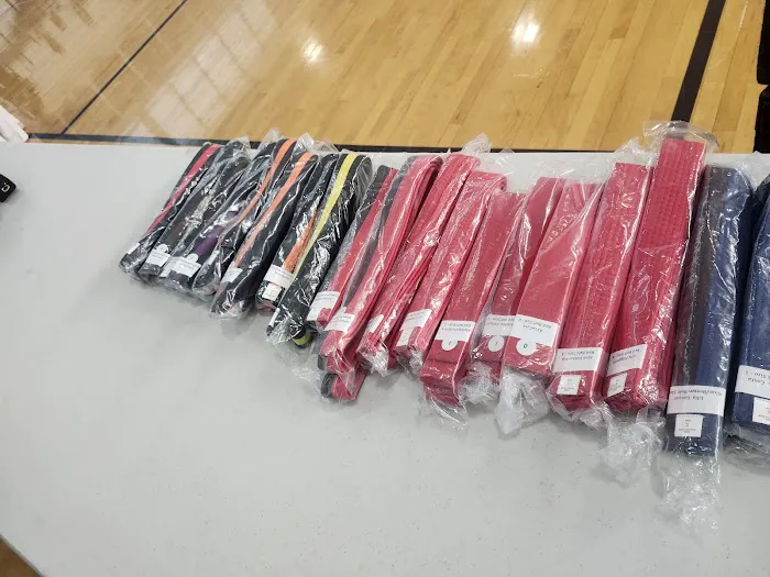 South Shore Tae Kwon Do Picture 7