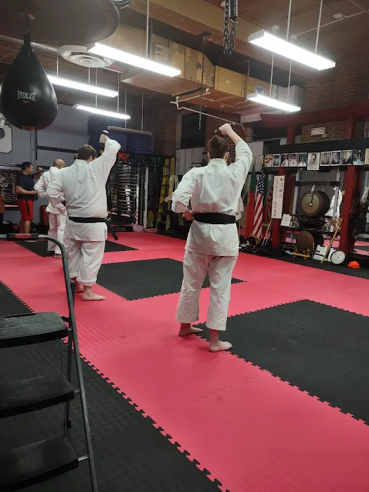 Almeida's Shotokan Karate School​ Picture 10