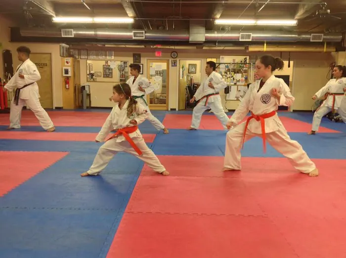 Costa's Tang Soo Do Picture 2