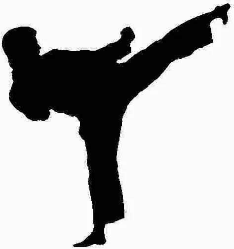 American Martial Arts Smithfield Picture 7