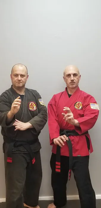 Red Dragon Martial Arts Academy Picture 4
