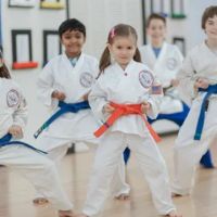 Excel Martial Arts ico