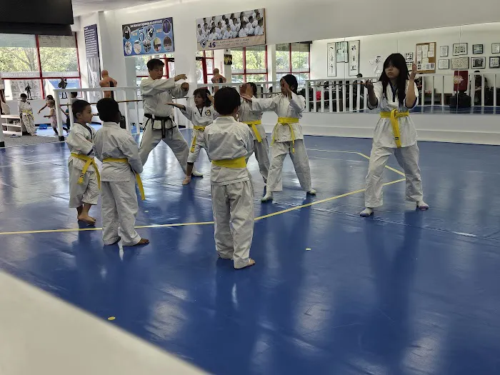 Jae Hun Kim Taekwon-do Institute Quincy Picture 8