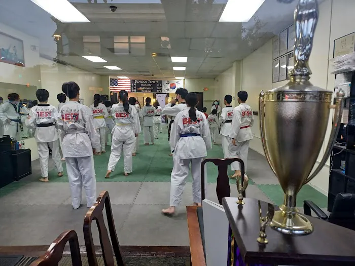 Best Taekwondo Picture 4