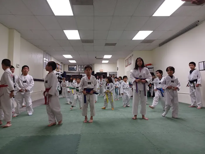 Best Taekwondo Picture 3