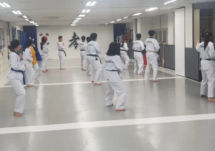 Best Taekwondo Picture 6