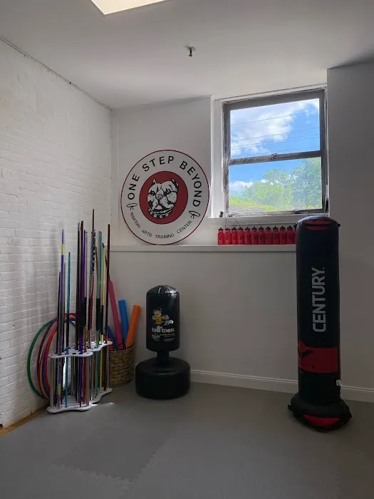 One Step Beyond Martial Arts Training Center Picture 4