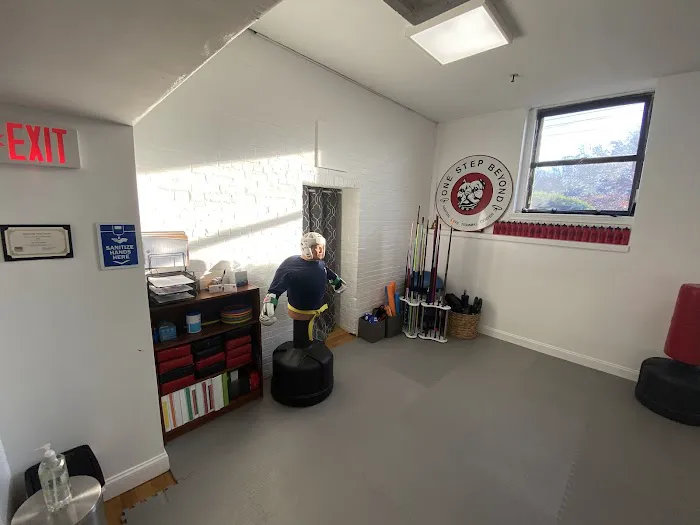 One Step Beyond Martial Arts Training Center Picture 7