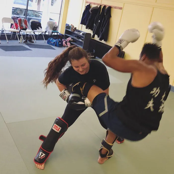 Yang's Martial Arts Association Boston Picture 6