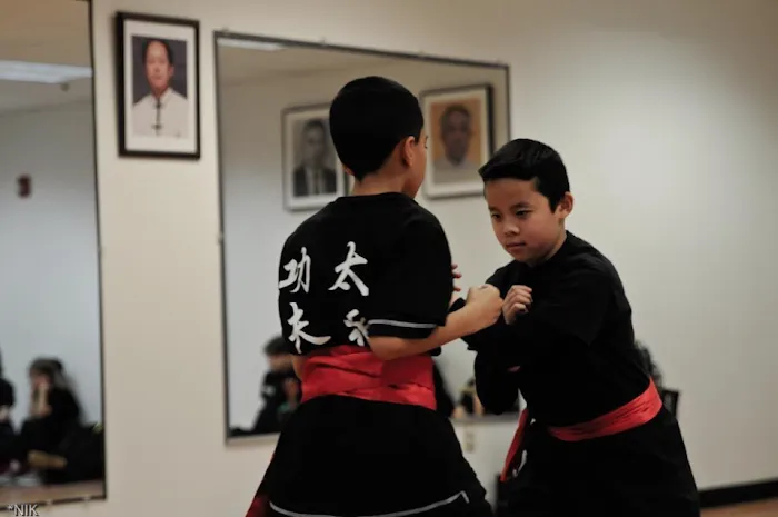 Yang's Martial Arts Association Boston Picture 9