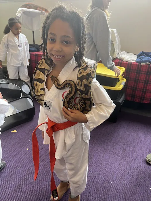 Champion Taekwondo Center Picture 5