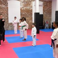 Apex Martial Arts Center ico