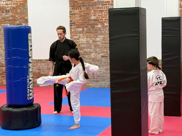 Apex Martial Arts Center Picture 2