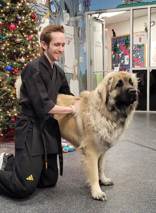 Apex Martial Arts Center Picture 8