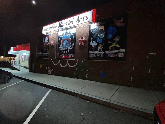 HarmOni Martial Arts Picture 1