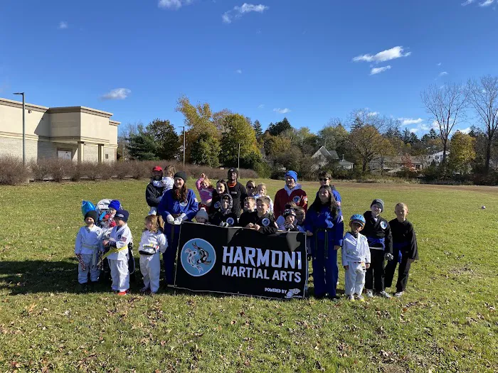 HarmOni Martial Arts Picture 3