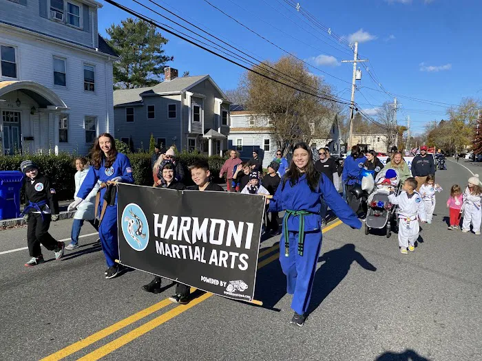 HarmOni Martial Arts Picture 6