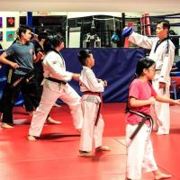 Disciple MMA Academy ico