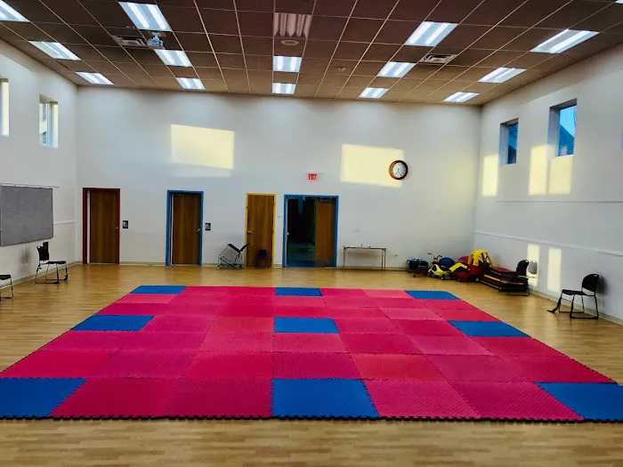 South Riding Martial Arts Taekwondo Picture 1