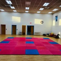 South Riding Martial Arts Taekwondo ico