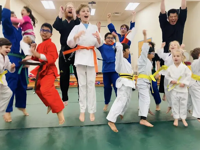 South Riding Martial Arts Taekwondo Picture 7