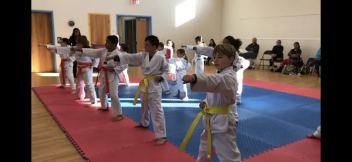South Riding Martial Arts Taekwondo Picture 9