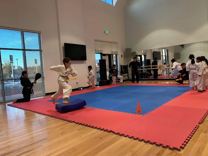 South Riding Martial Arts Taekwondo Picture 10