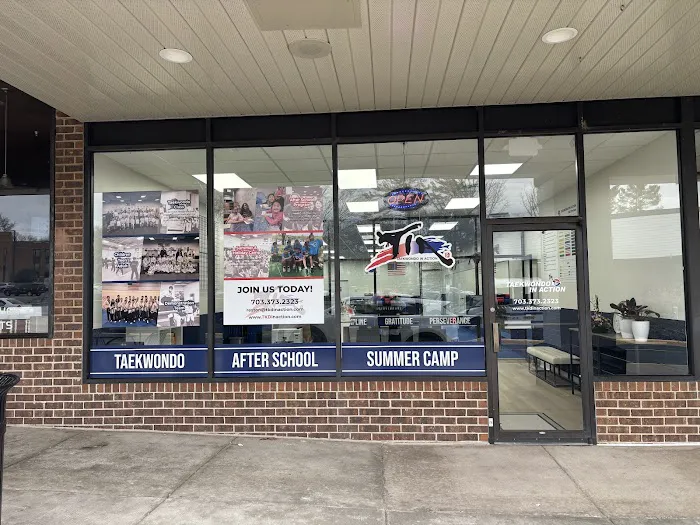 Taekwondo In Action - Reston/Herndon Picture 1