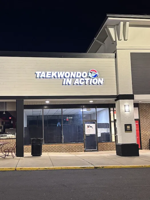 Taekwondo In Action - Reston/Herndon Picture 2