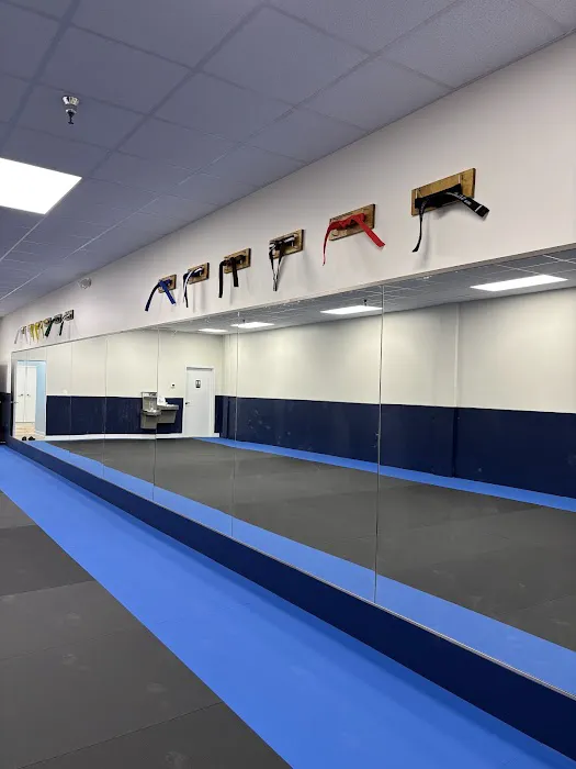 Taekwondo In Action - Reston/Herndon Picture 3