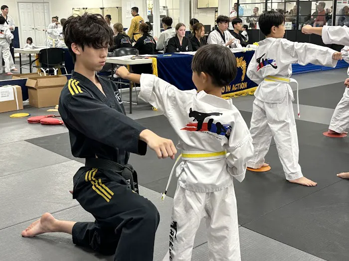 Taekwondo In Action - Reston/Herndon Picture 10